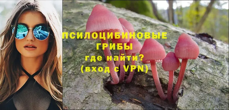 Псилоцибиновые грибы мицелий  Майский 